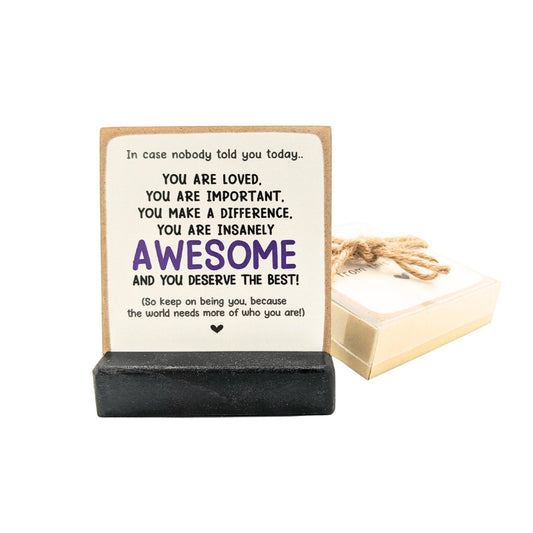 you are insanely awesome, affirmations sign, in case no one told you today, office gift, friend gift, mini sign,