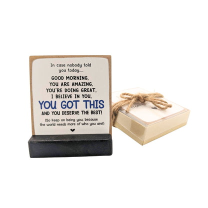 i believe in you, you got this, affirmations sign, in case no one told you today, office gift, friend gift, mini sign,