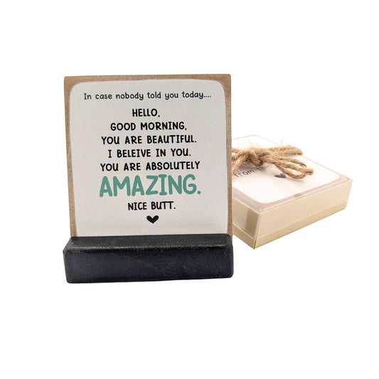 in case nobody told you today, you are amazing, affirmations sign, office gift, appreciation gift, thank you gift, mini sign,