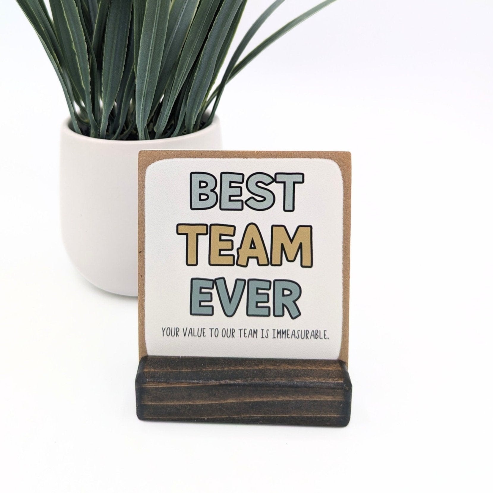 BEST TEAM EVER | employee appreciation gift